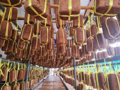 ��ǰ ������